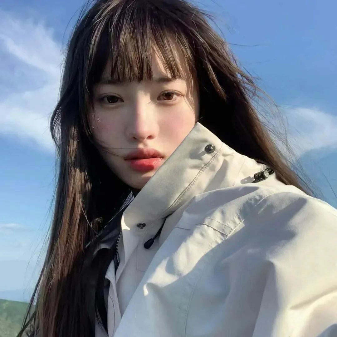 青云志